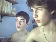 Brothers on webcam